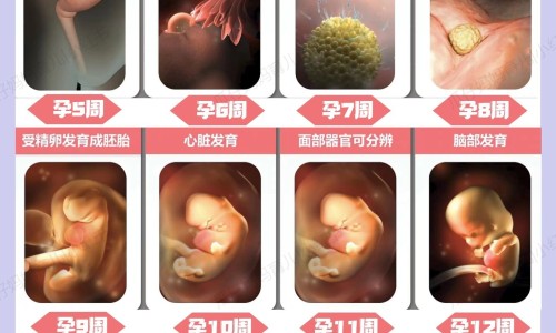 四个月宝宝吃奶时哭闹老挣扎网 - 为你提供四个月宝宝吃奶就哭闹怎么办、四个多月宝宝吃奶老实哭